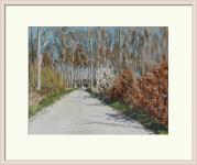 DSC 3153  Bregninge Skov - 33x44 cm   - tørpastel -udvendigt rammemål med passepartout 49x59 cm - 2.500 kr.