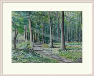 DSC 3507  Thurø Skove - 53x71 cm - tørpastel - udvendigt rammemål med passepartout og refleksfri glas 73x90 cm - 5.000 kr.